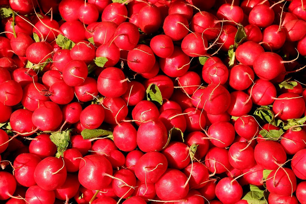 Zero waste a konyhában: kevesebb pazarlás, több megtakarítás